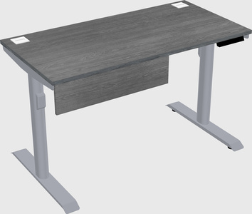 Dual motor electric desk