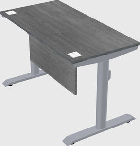 Dual motor electric desk