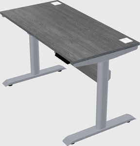 Dual motor electric desk