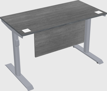 Dual motor electric desk