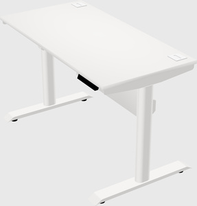 Dual motor electric desk