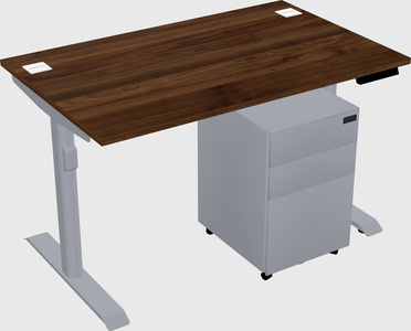Dual motor electric desk