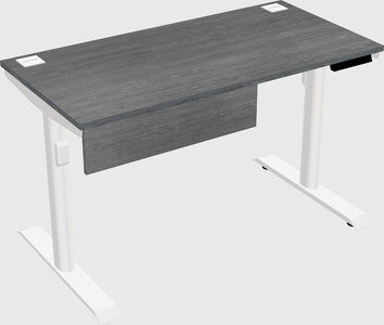 Dual motor electric desk