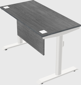 Dual motor electric desk