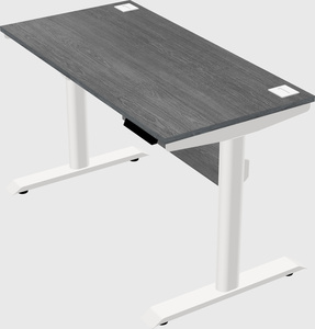 Dual motor electric desk