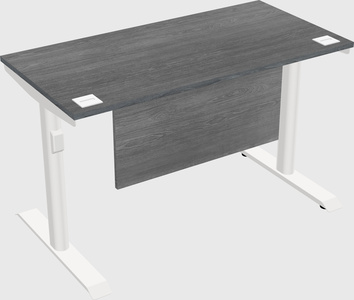 Dual motor electric desk