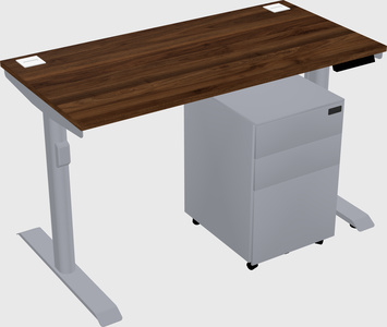 Dual motor electric desk