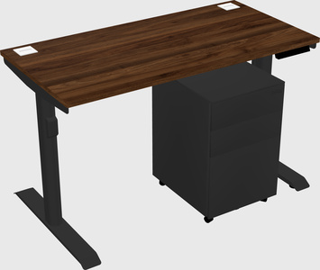 Dual motor electric desk