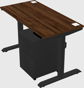 Dual motor electric desk