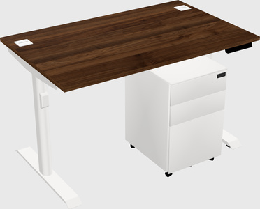 Dual motor electric desk