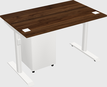 Dual motor electric desk