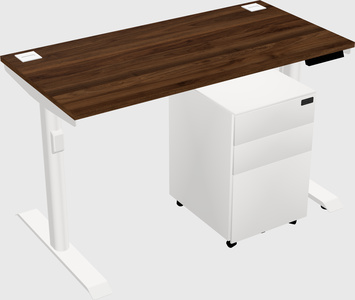 Dual Motor Electric Desk