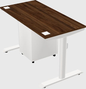 Dual motor electric desk