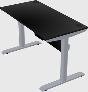 Dual motor electric desk