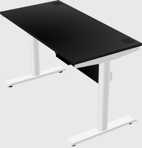 Dual motor electric desk