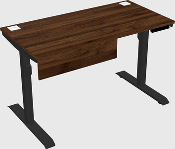 Dual motor electric desk