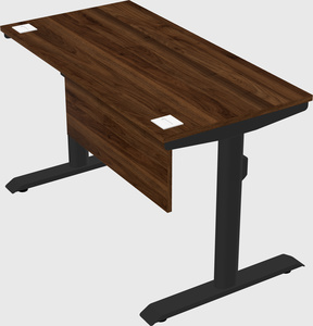 Dual motor electric desk