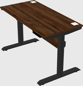 Dual motor electric desk