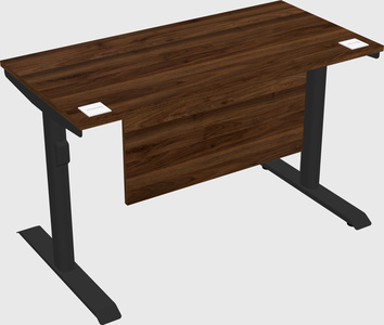 Dual motor electric desk