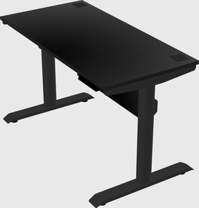 Dual motor electric desk