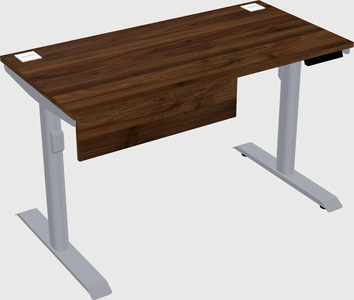 Dual motor electric desk
