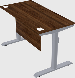 Dual motor electric desk