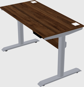 Dual motor electric desk