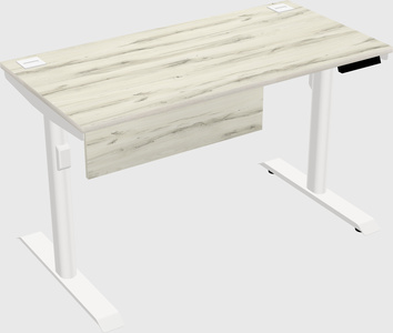 Dual motor electric desk