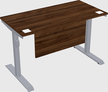 Dual motor electric desk