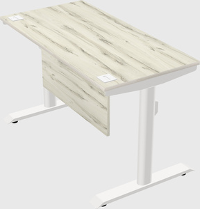 Dual motor electric desk