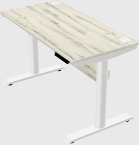Dual motor electric desk