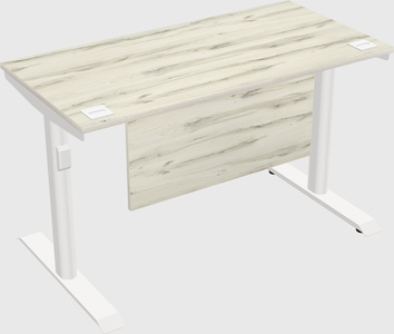 Dual motor electric desk