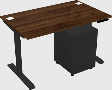 Dual motor electric desk