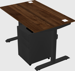 Dual motor electric desk