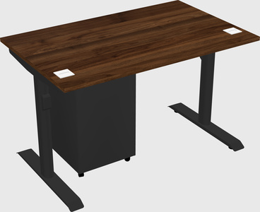 Dual motor electric desk