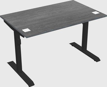 Dual motor electric desk