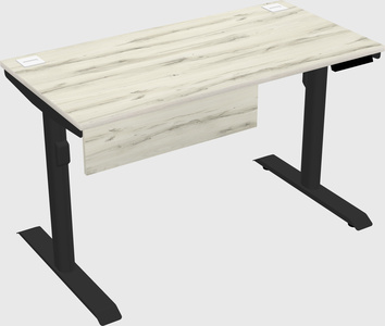 Dual motor electric desk
