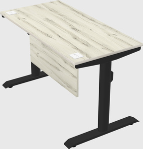 Dual motor electric desk