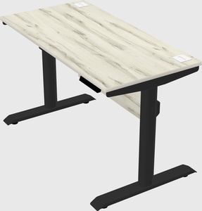 Dual motor electric desk