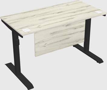Dual motor electric desk