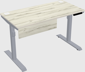 Dual motor electric desk
