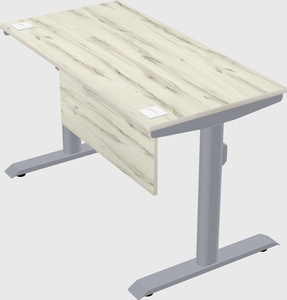 Dual motor electric desk