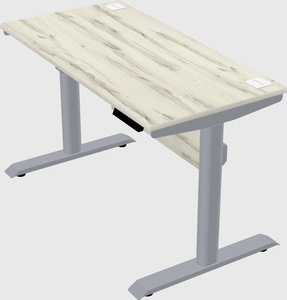 Dual motor electric desk