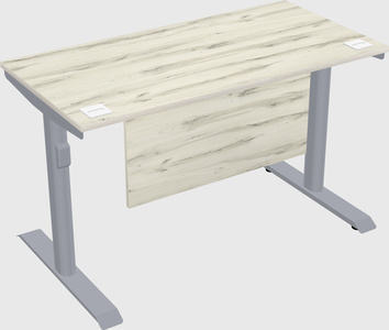 Dual motor electric desk
