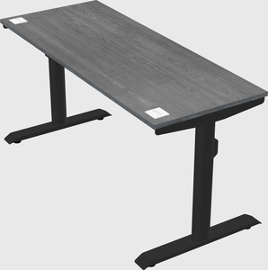 Dual motor electric desk