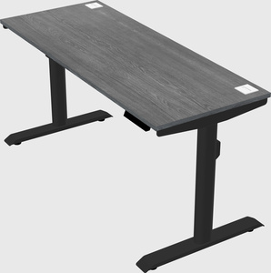 Dual motor electric desk