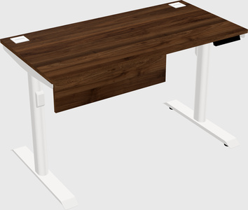 Dual motor electric desk