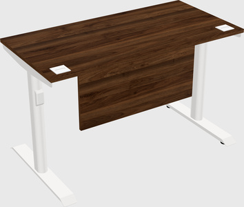 Dual motor electric desk