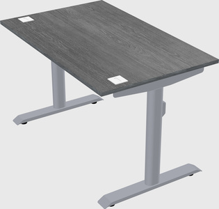 Dual motor electric desk