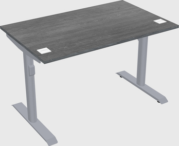 Dual motor electric desk